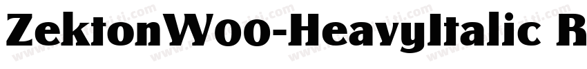 ZektonW00-HeavyItalic Regular字体转换